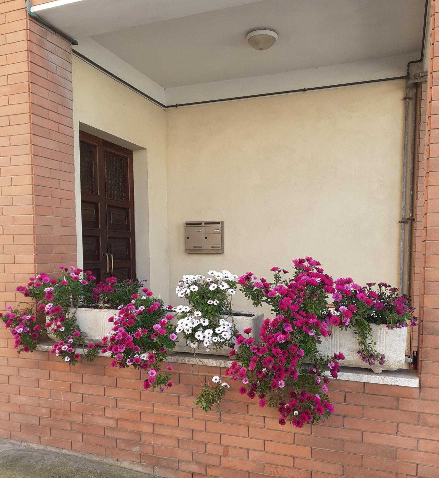 Casa Dilva Bed and Breakfast Porto SantʼElpidio Buitenkant foto